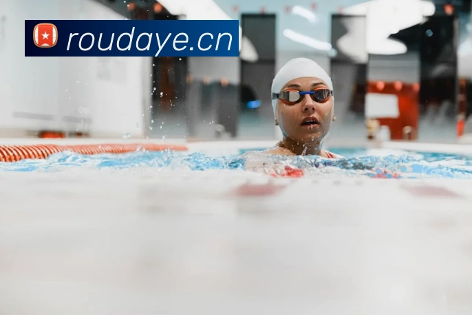 半岛官网登陆入口平台生态图