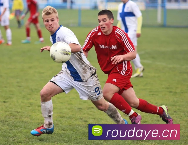 半岛官网登陆入口APP 封面图